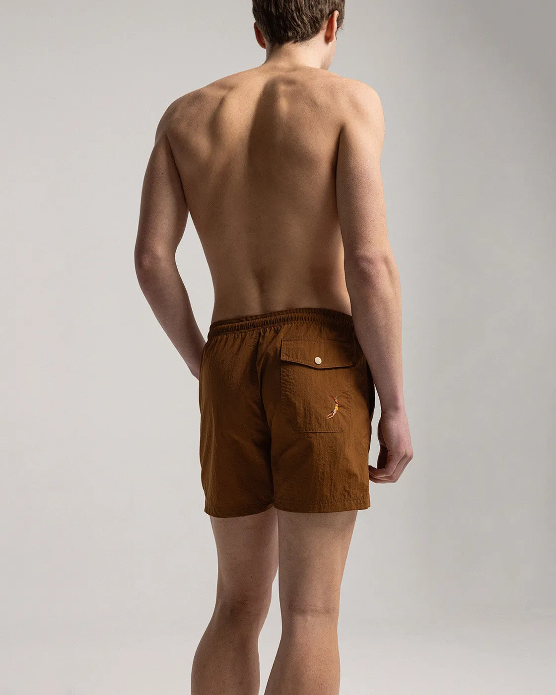 Brown Swim Shorts