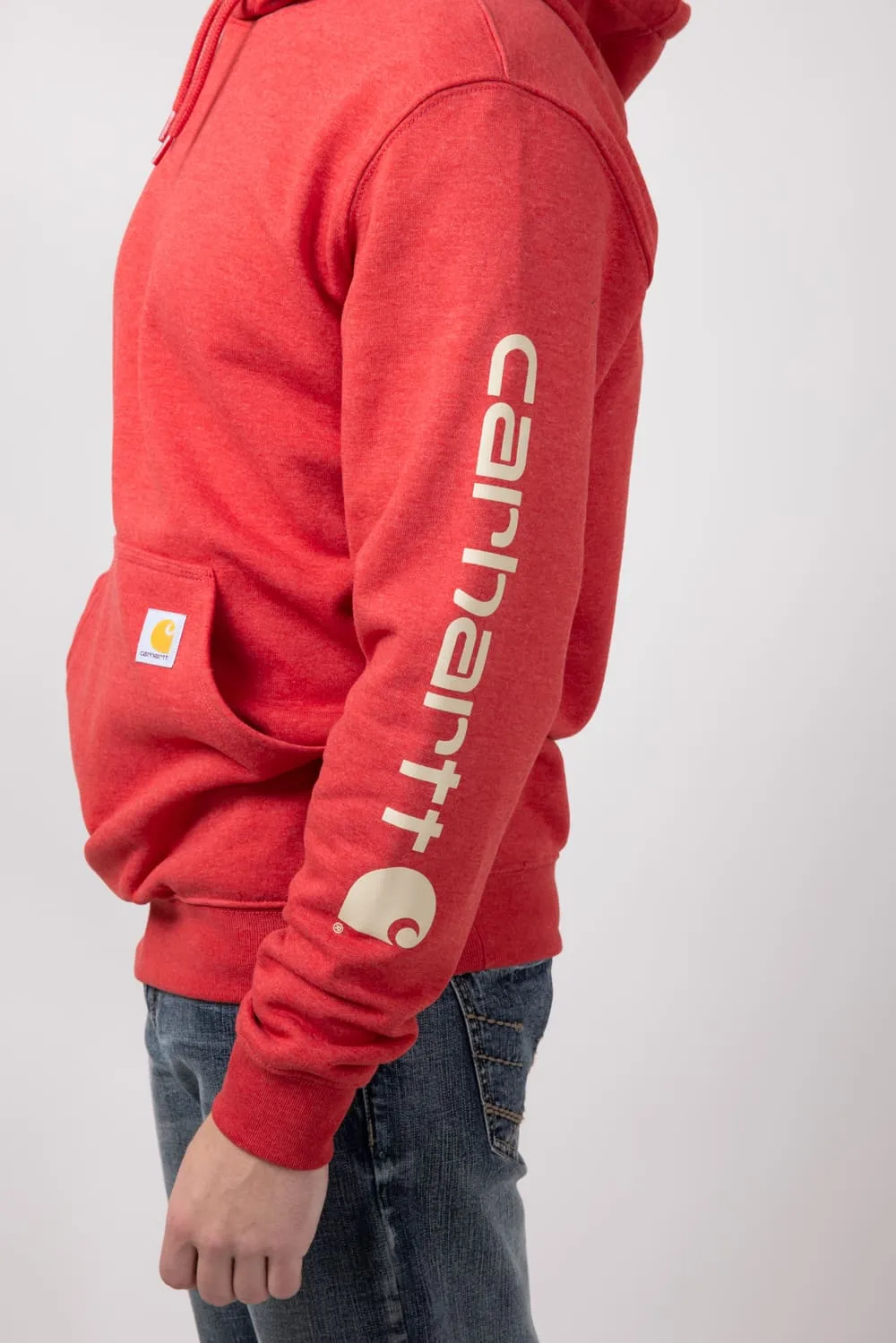 Carhartt Loose Fit Graphic Hoodie for Men in Apple | K288-RAO-APPLE