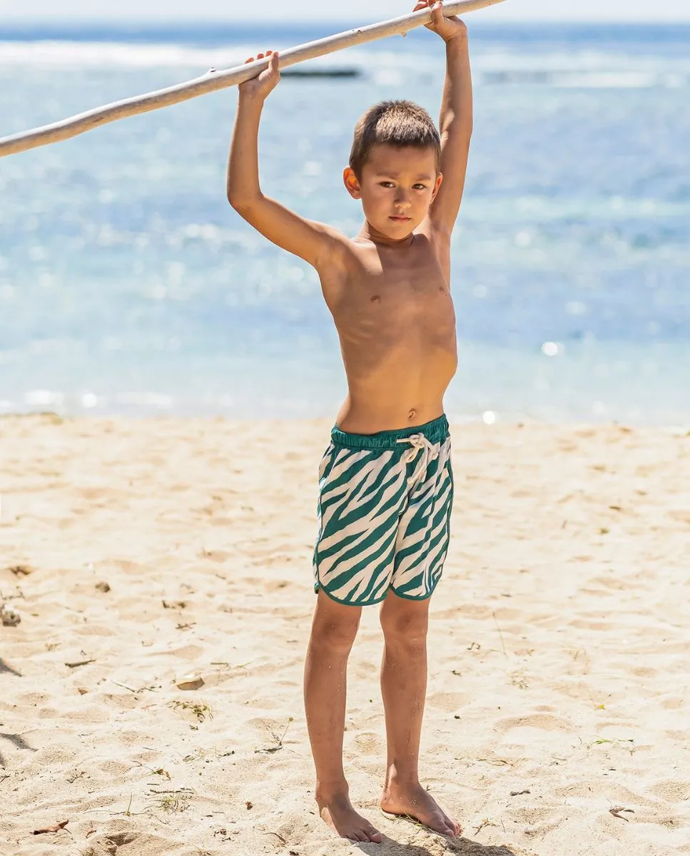 Electric Zebra Emerald Swim Shorts