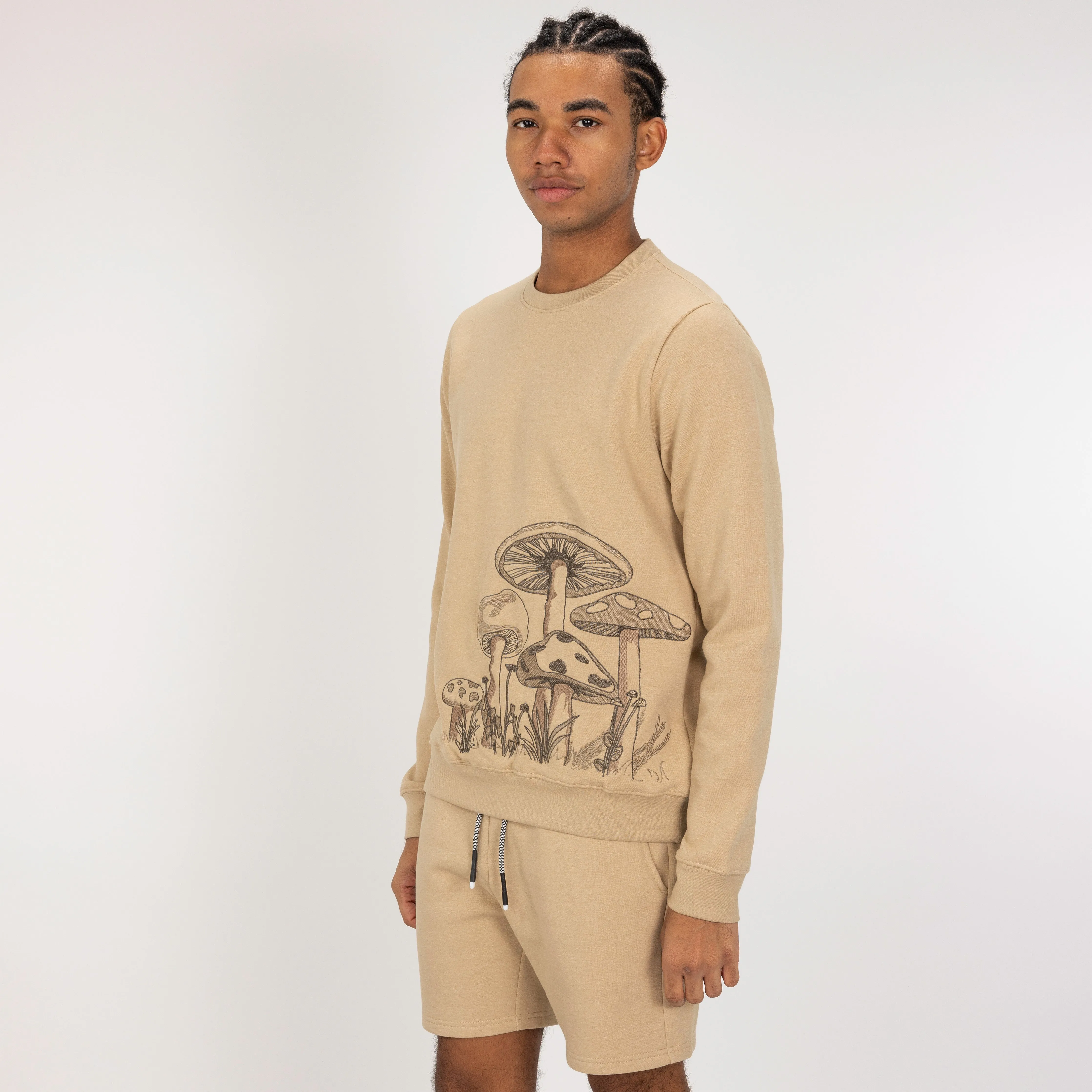 Embroidered Front Sweatshirt  - Pale Khaki / Mushroom