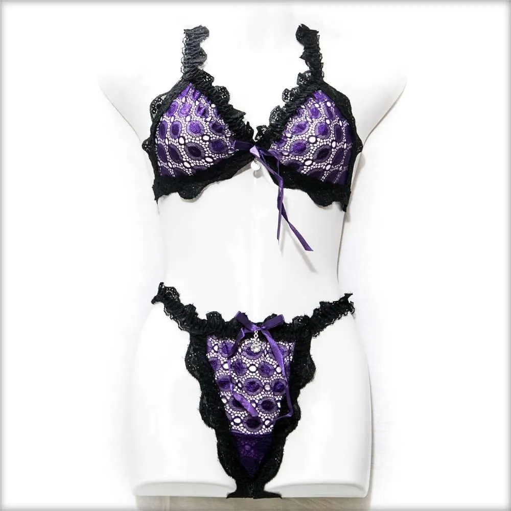 Fancy Net Purple Bikini Set