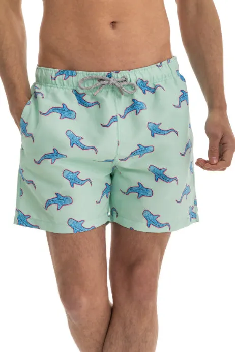 JAY X KAI - Shark Tank Swim Shorts