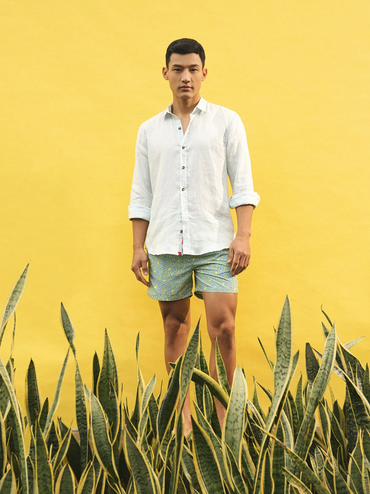 Kiku Shorts