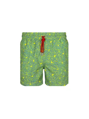 Kiku Shorts
