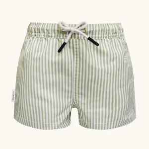 Men UV Swim Short Portofino - green stripes