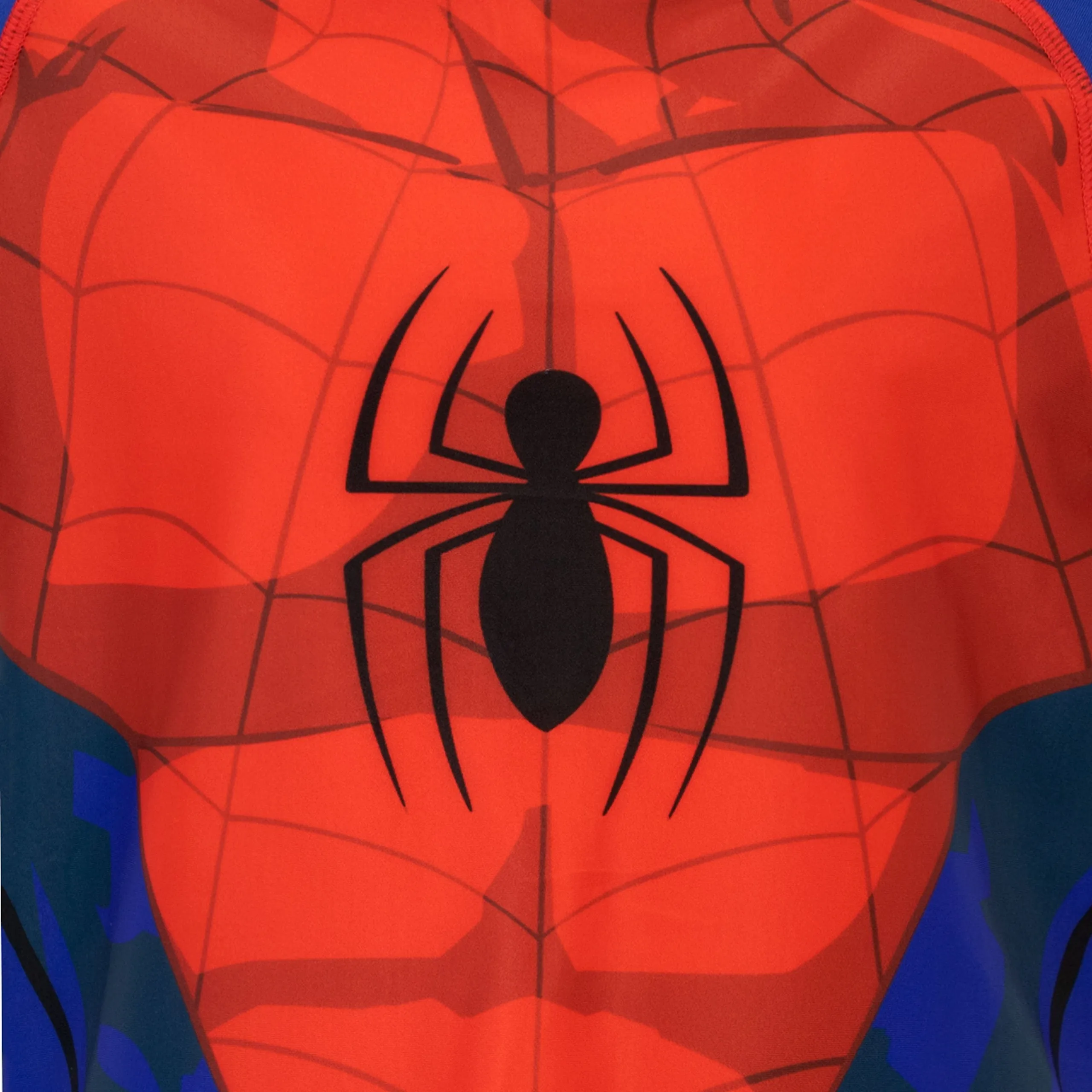 Spiderman Swim Set