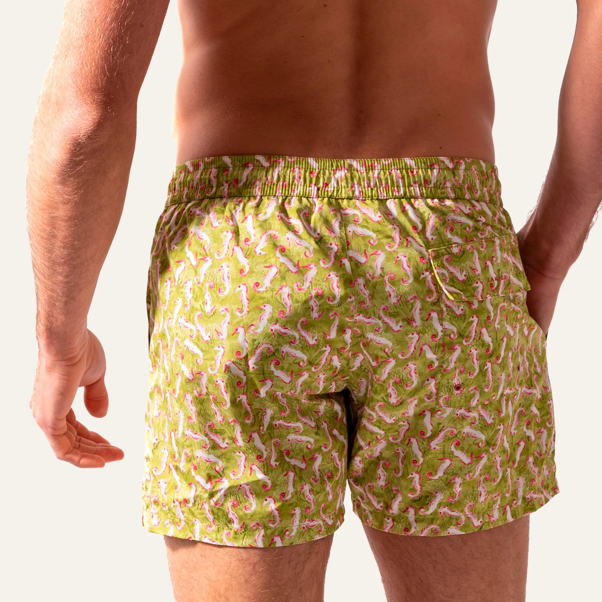 Swim Shorts Seahorse Lime